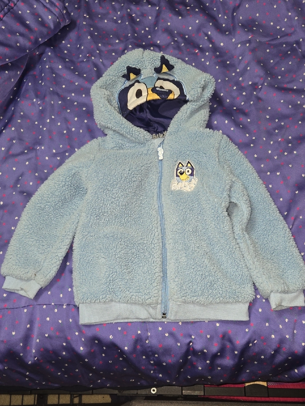 Kids Light Blue Hooded Fleece Jacket with Character Embroidery